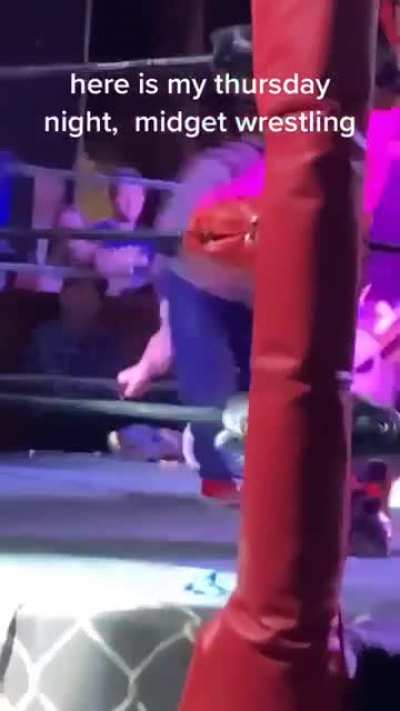 UFC de anão