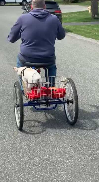 Stella didn&rsquo;t know what to do on the bike (she&rsquo;s fine)