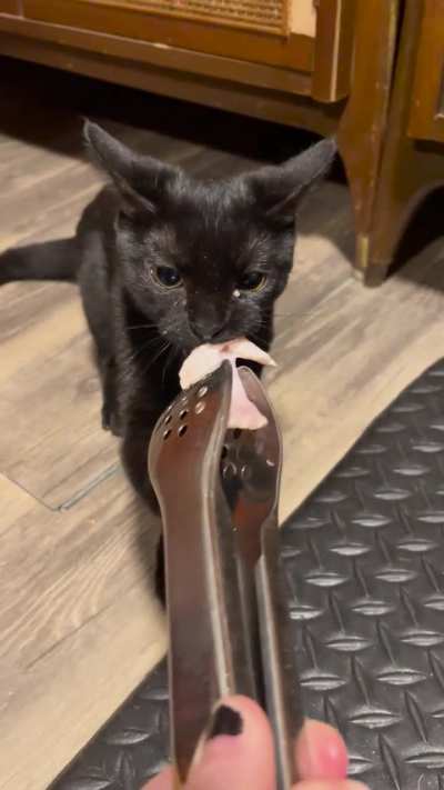 angy void won&rsquo;t let go of chicken wing