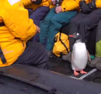 "Look at me...I'm the captain now"