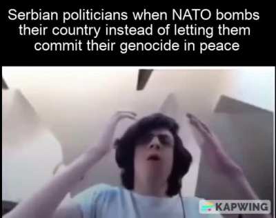 Average NATO W
