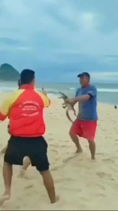 Homem usa jacaré para ameaçar outras pessoas durante briga em praia no Rio