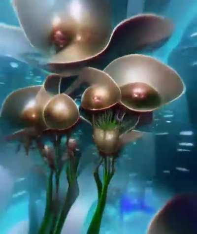 I’m tripping balls
