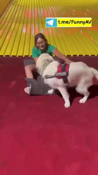 Loves to Slide