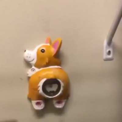 &ldquo;you scared the corgi&rdquo;
