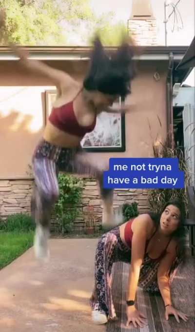 Fly