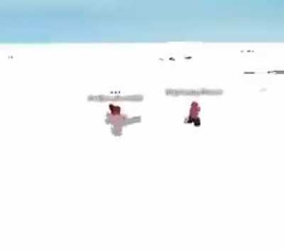 man the new roblox update is wild...
