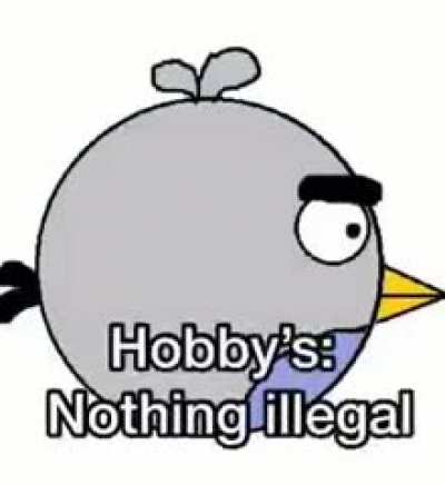 bird