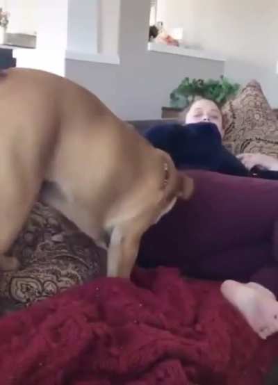 Sniff Sniff....