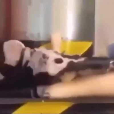 I cant think of a title