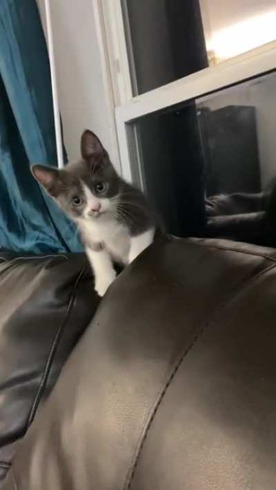 Boo&rsquo;s scared of her reflection