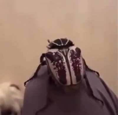 Не знаю зачем я сделал это видео...