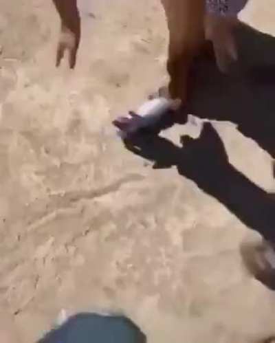 Да когда ж вы уже напь&euml;тесь?!