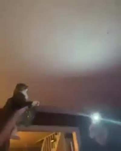 They&rsquo;re using their cat as a WEAPON against bugs...