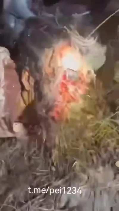 汉族人类大战图博熊类结算画面