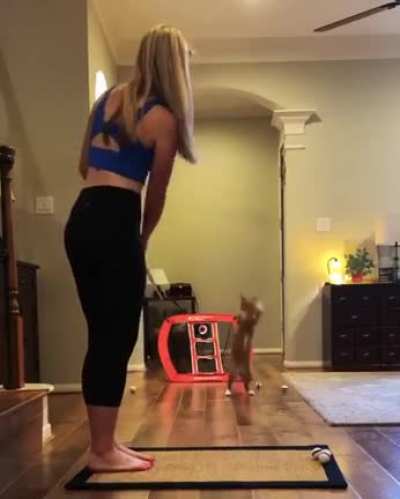 Nice &ldquo;cat&rdquo;ch