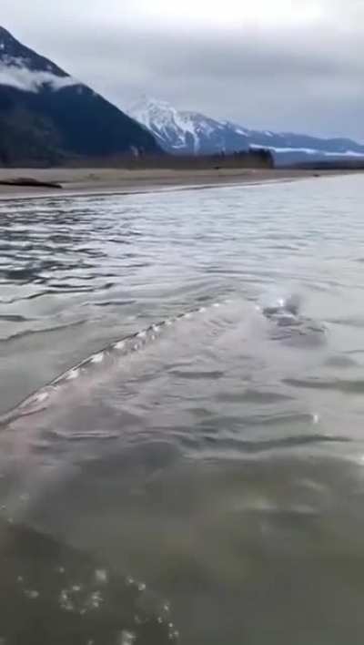 A Beauty of Canada 