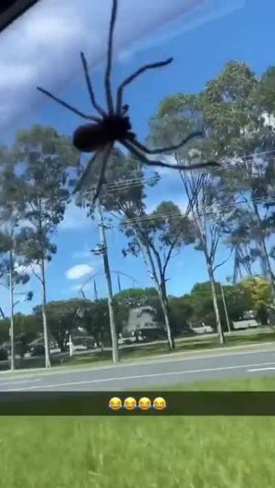 Just along for the ride
