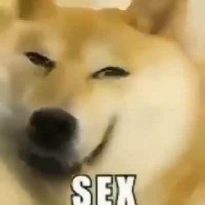 sex