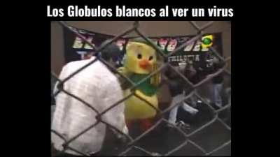 Meme Biologico