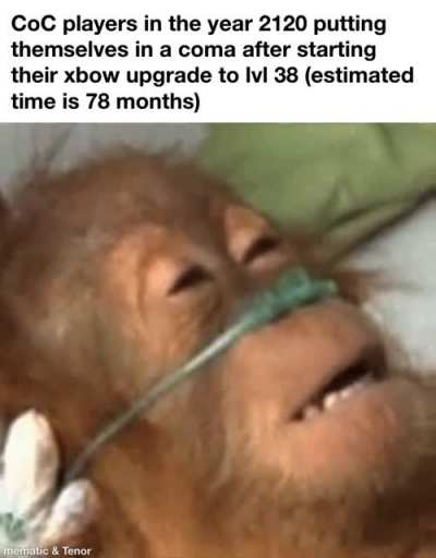 coc moment