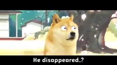 Funny Doge meme video