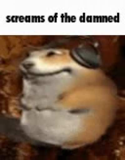 titl e
