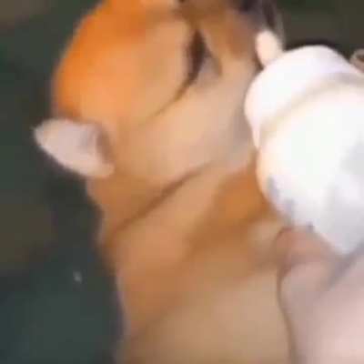 FUCK.