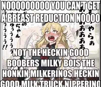 NOOOOOOOOO YOU CAN&rsquo;T GET A BREAST REDUCTION NOOOO NOT THE HECKIN GOOD BOOBERS MILKY BOIS THE HONKIN MILKERINOS HECKIN GOOD MILK TRUCK NIPPERINOS