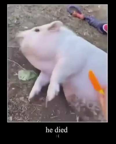 Gor&eacute;