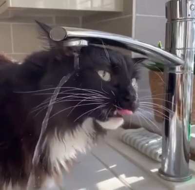 To drink water