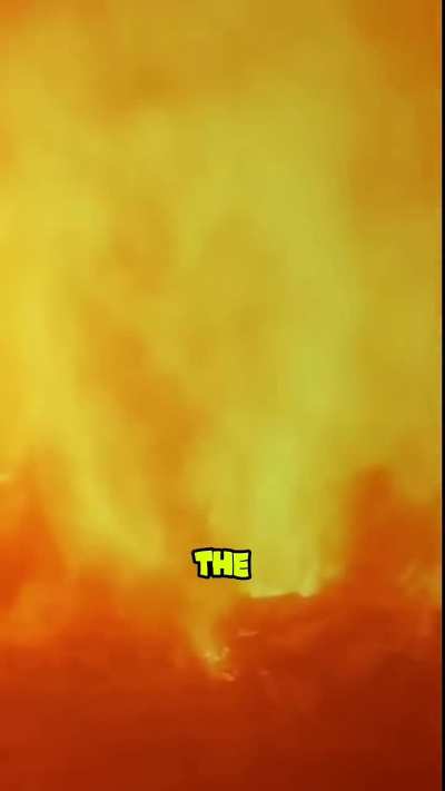 Someone called this a real waste management. Hope they didn't hear about LSG