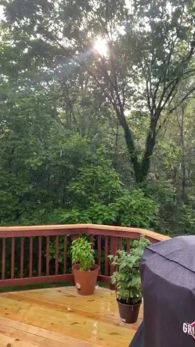 Relaxing sunshower