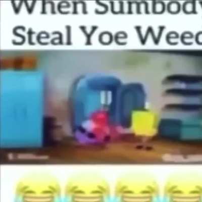 Moldiest meme I&rsquo;ve seen in awhile
