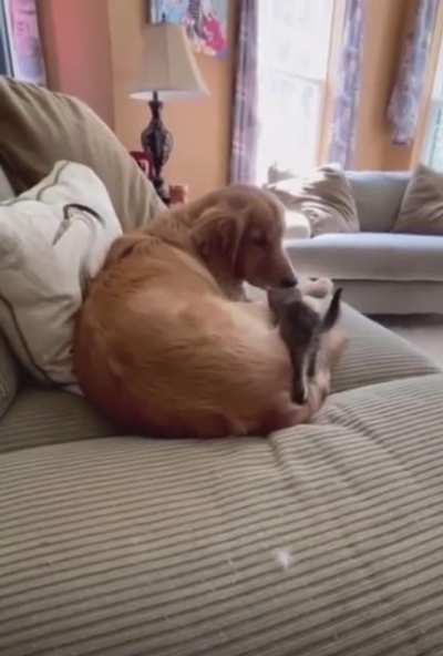 Best friends♥️