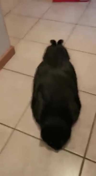 Big blob