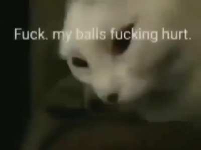 There is