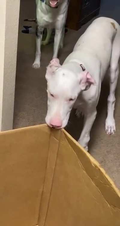 Wait for it&hellip;&hellip;&hellip;..