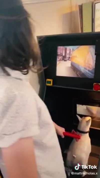 Rent-a-Dog