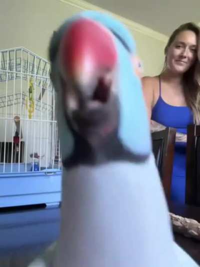 Kisses!