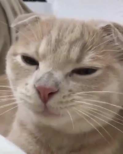 Cute