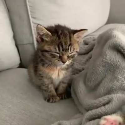 This is very cute