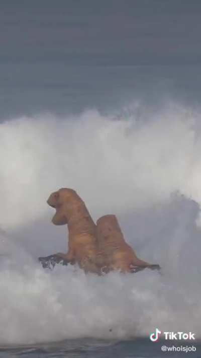 Monsters of the sea