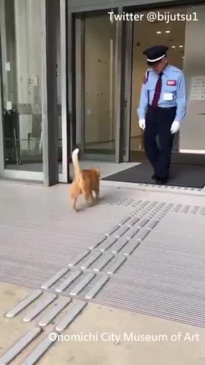 Museum security
