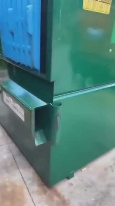 Disturbing raccoon inside waste container