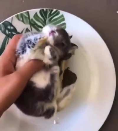 dIsgUsTInG PsycHo EAts bUnNy aliVe! (VErY dIsturbINg, Do not Watch!)