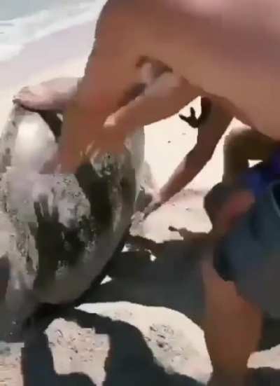 А могли бы суп сварить.