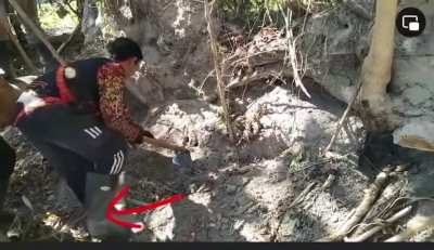 Snake hunting