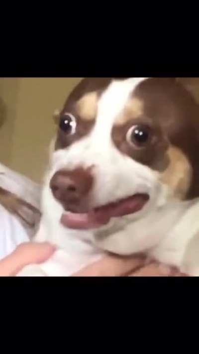 &ldquo;I think he loves me&rdquo;
