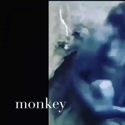 Monk&eacute; time